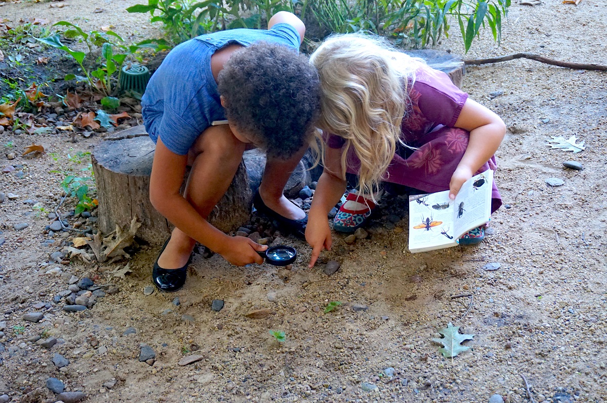 Two children with curly hair look for insects in the dirt with a magnifying glass and a book for identification.