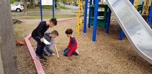 Three students in a group gaze down at a measuring stick on the ground. One has a clipboard to take notes about how many wood chips they count.